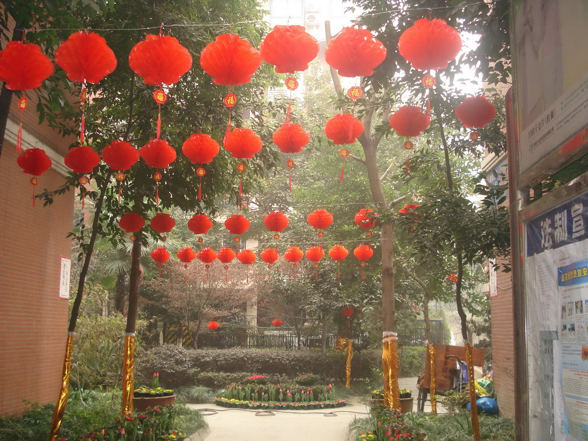 彩蝶花園