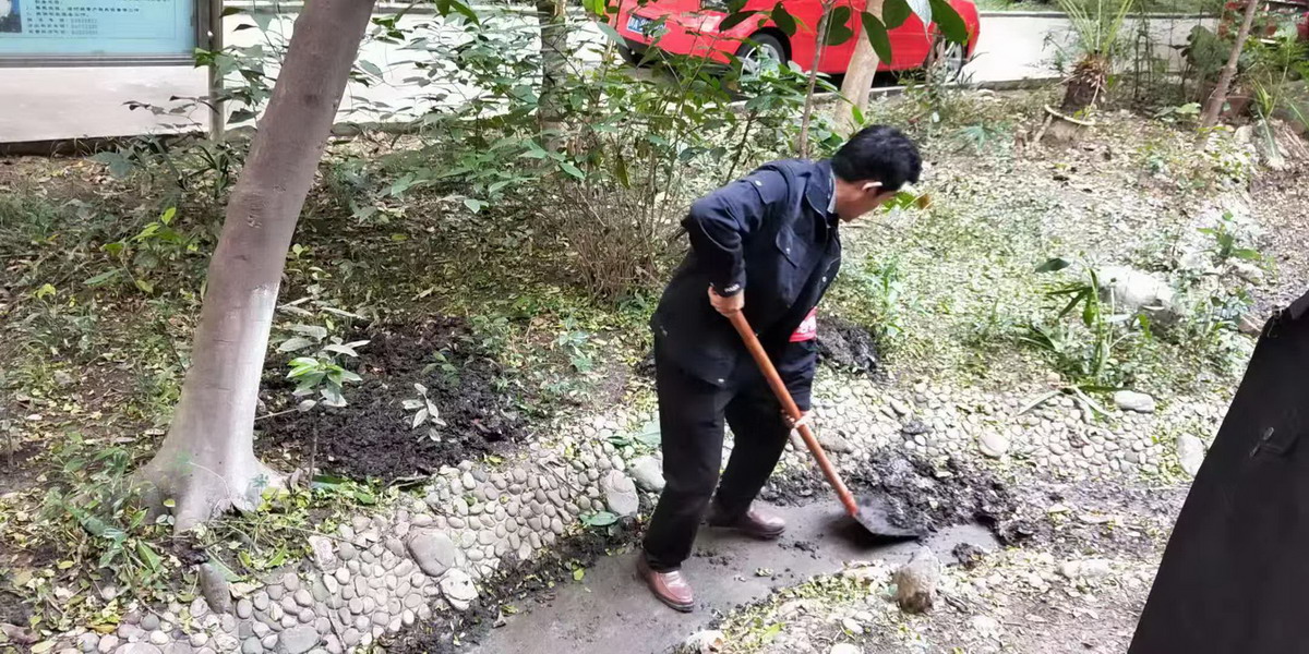 自由星城全體員工動(dòng)手治理小區(qū)環(huán)境
