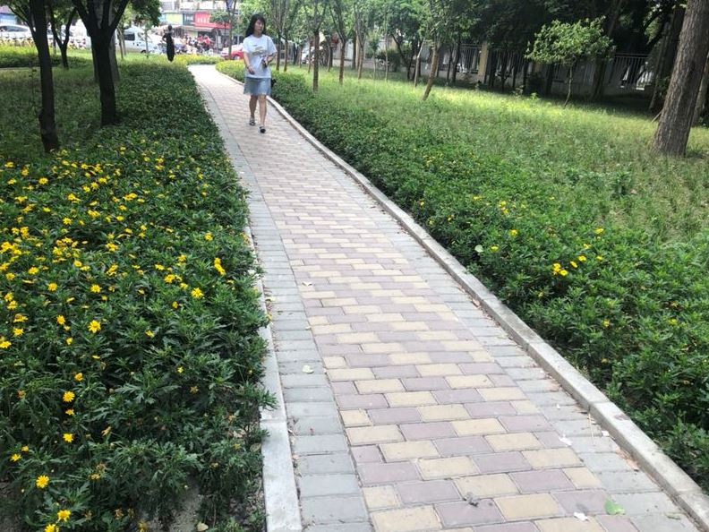 彩蝶花園小區(qū)出門(mén)就是公園